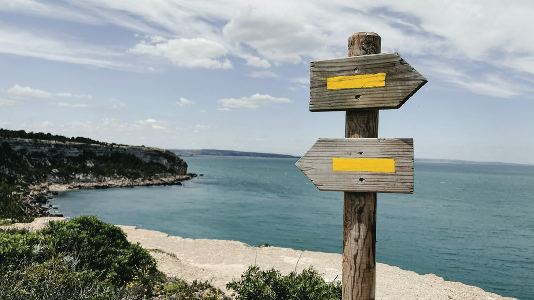 Multi-Country vs Single-Country Travel eSIM: Which Option Saves You More?