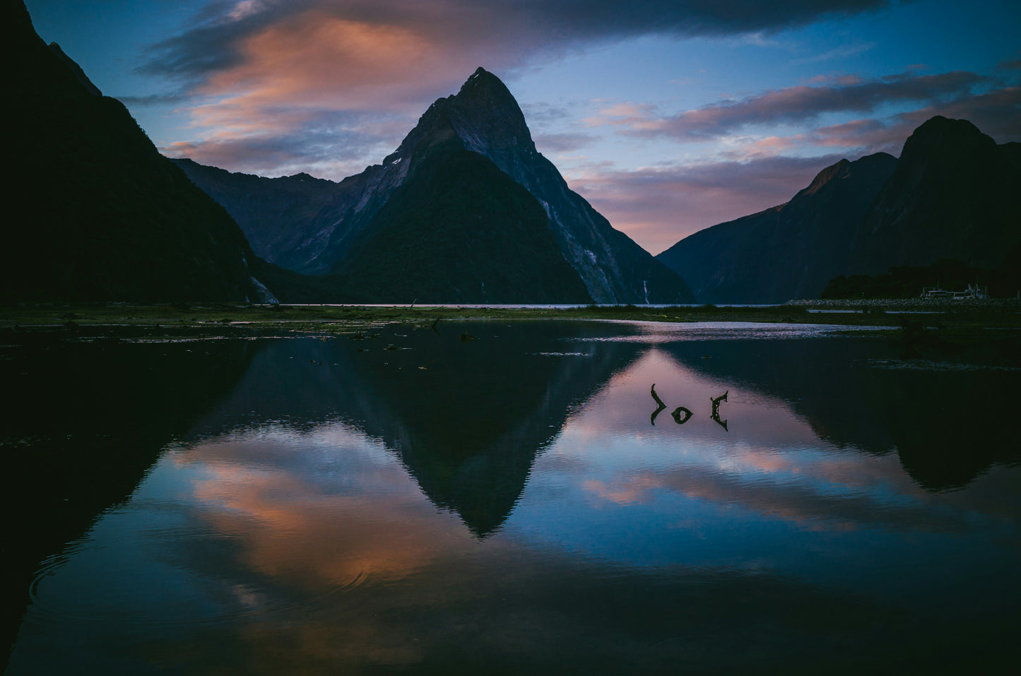 New Zealand (NZ)