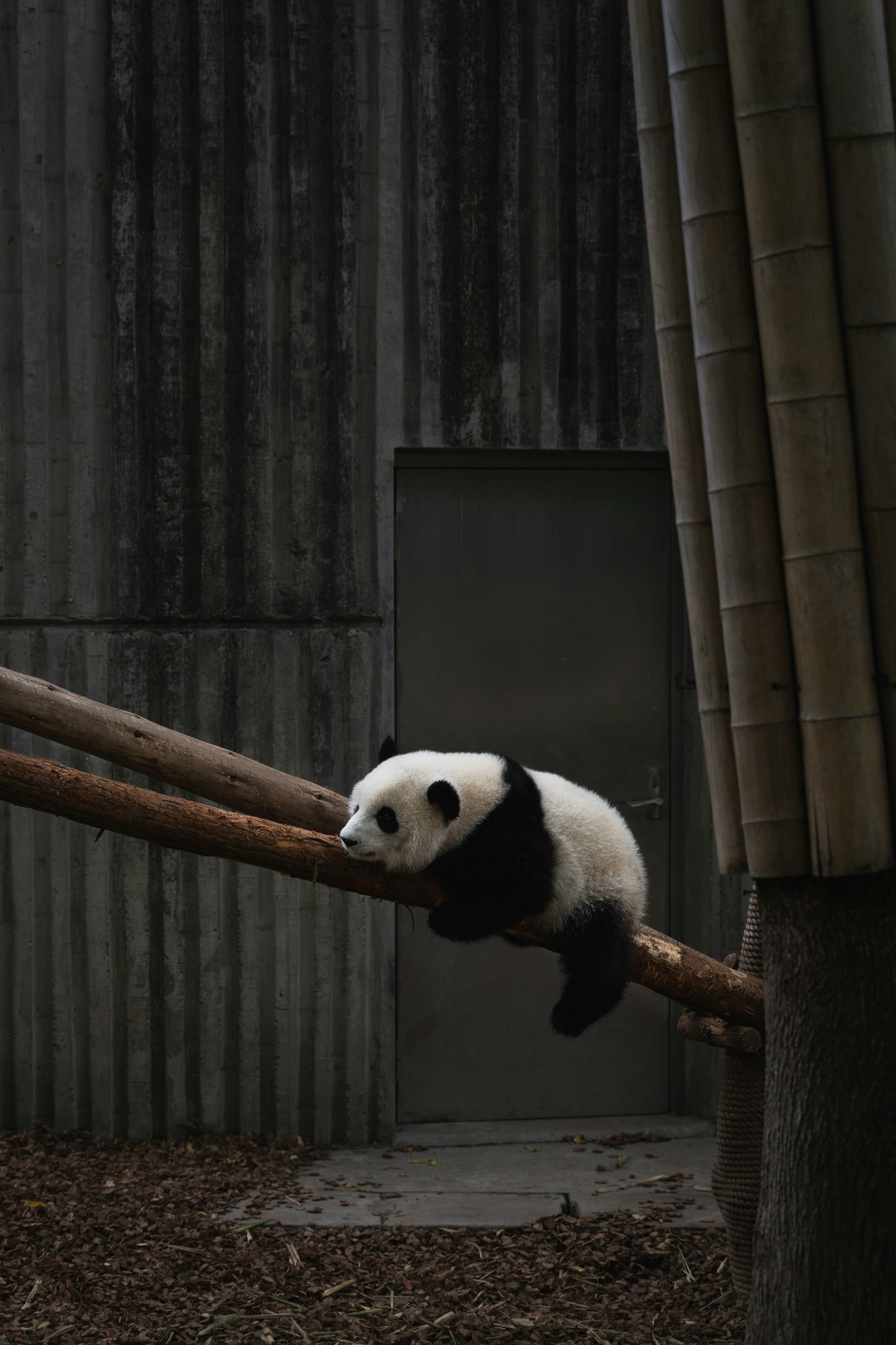 China mainland