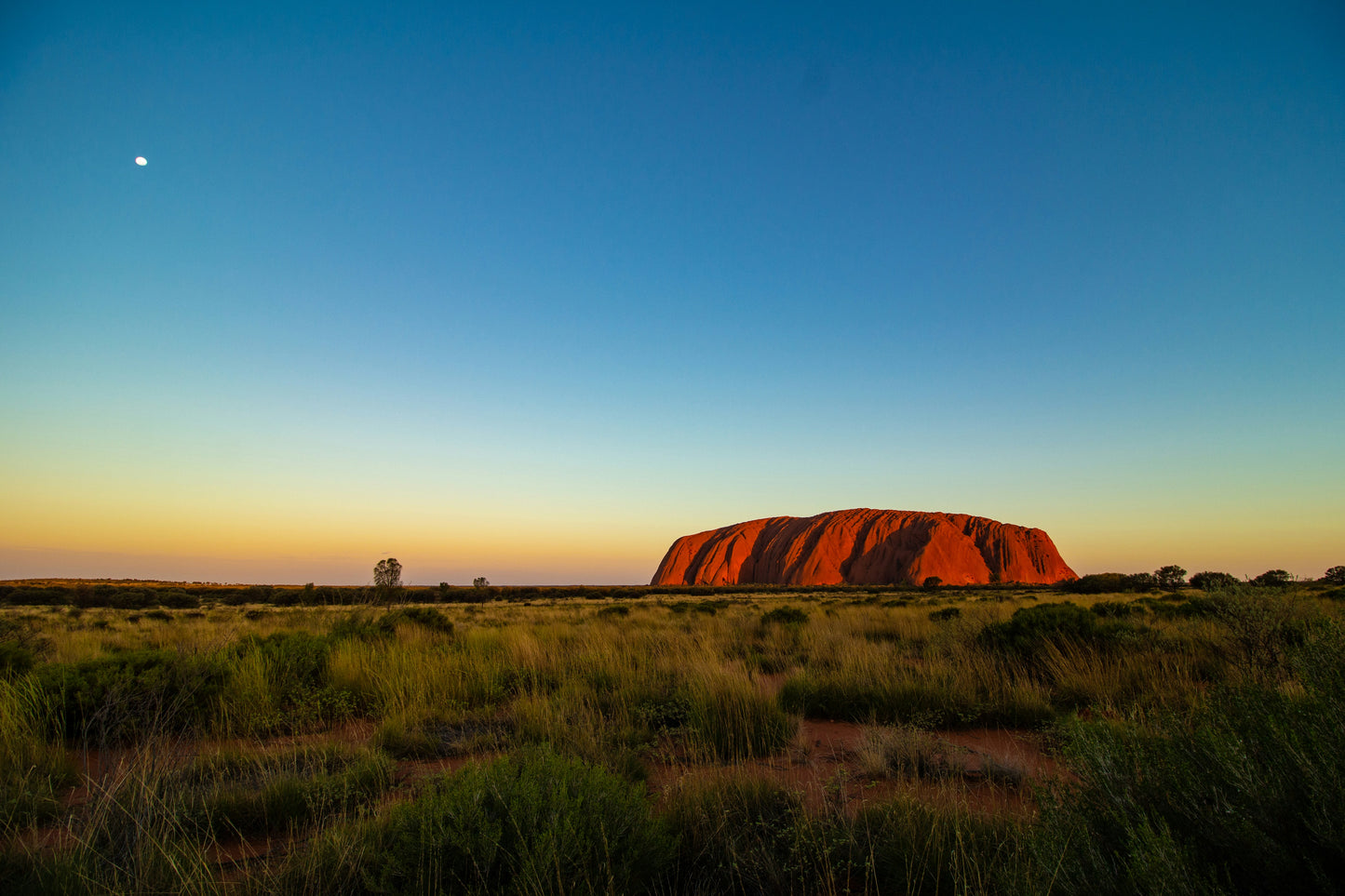 Australia Day Pass - UNLIMITED Daily Plans
