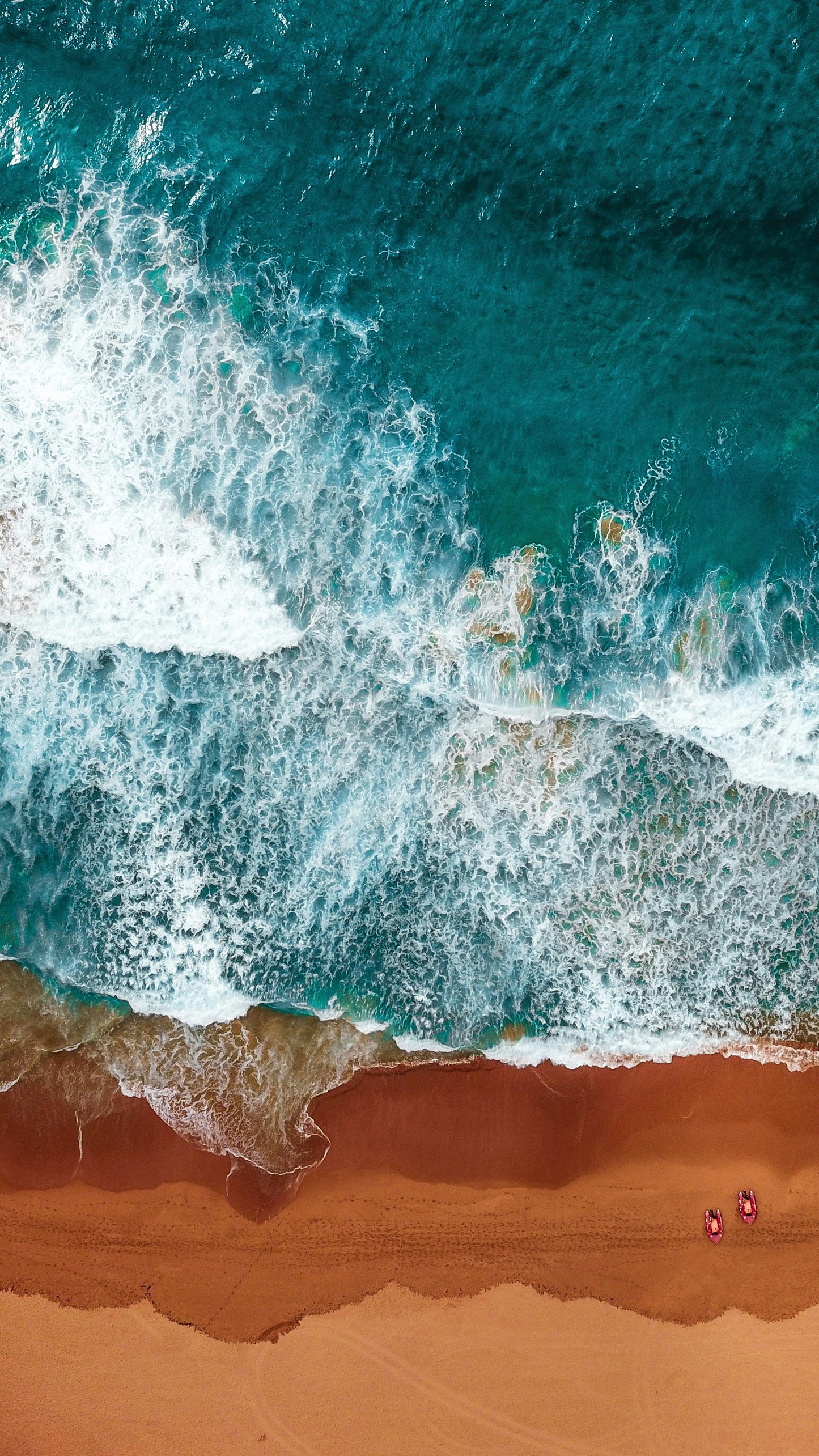 Australia Day Pass - UNLIMITED Daily Plans
