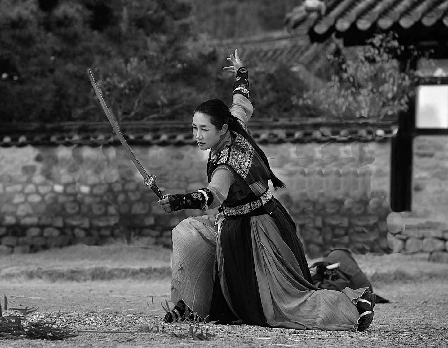 South Korea Day Pass - UNLIMITED Daily Plans
