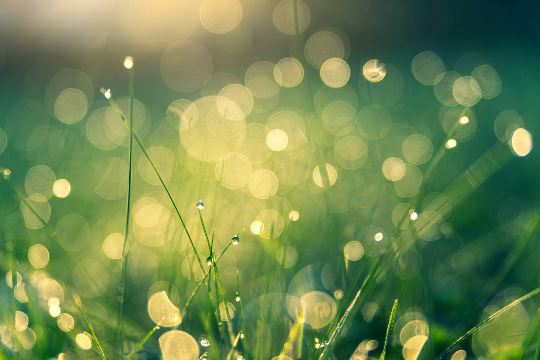 Tourism, Pollution, and How eSIMs Can Help Us Travel More Sustainably 🍃