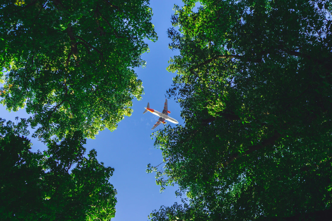 How eSIMs Can Save the Environment: A Comparison to Traditional SIM Cards and Air Travel 🌱🌍✈️
