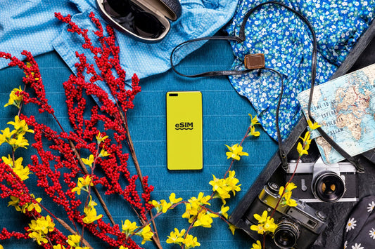 Why data only eSIMs? What about traditional voice and SMS?