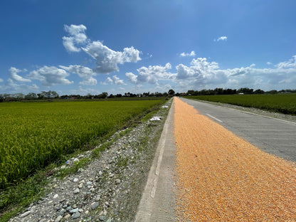 Southeast Asia (7 countries)