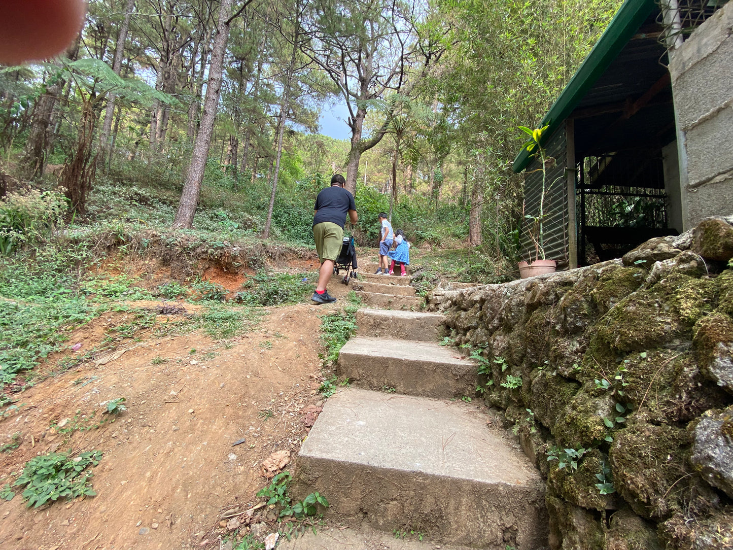 Southeast Asia (7 countries)