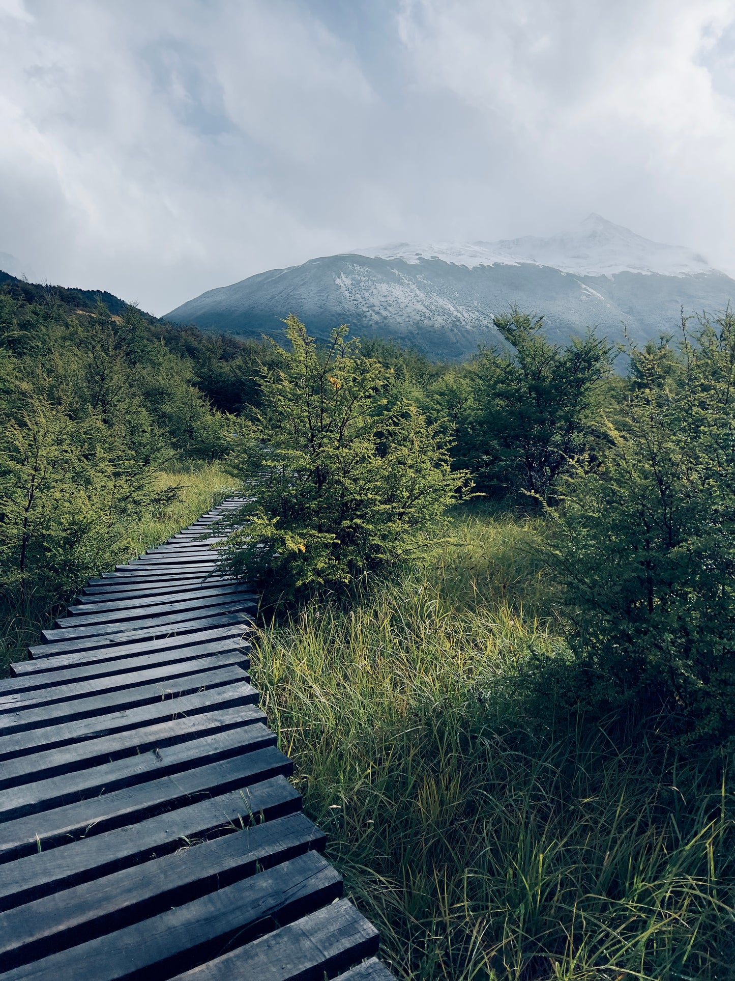 South America (15+ countries)