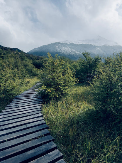 South America (15+ countries)