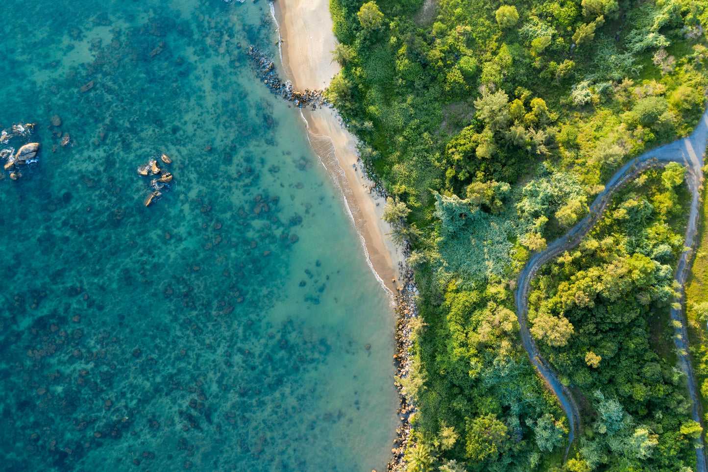Vietnam Day Pass - UNLIMITED Daily Plans